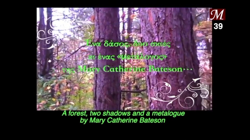 A forest, two shadows and a “metalogue” by Mary Catherine Bateson...